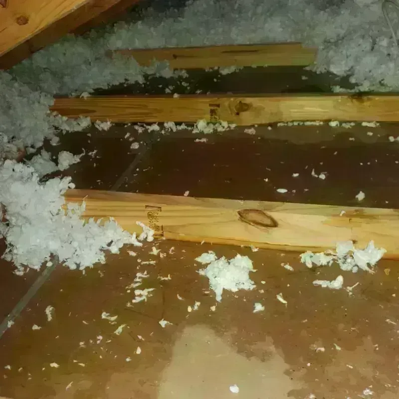 Attic Water Damage in Westmont, IL