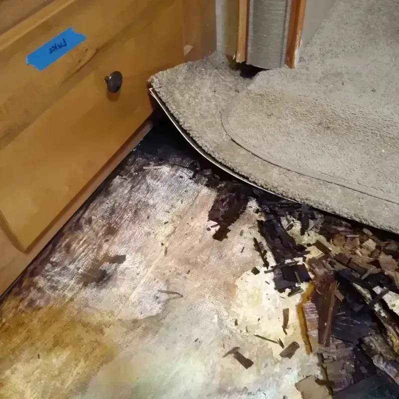 Wood Floor Water Damage in Westmont, IL